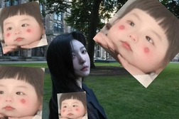 编号: 268806 (点击复制)  省份: #上海